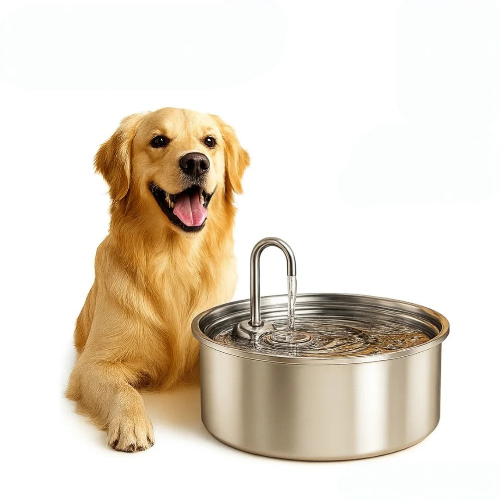 Pet Water Fountain Stainless Steel Automatic Drinking Bowl