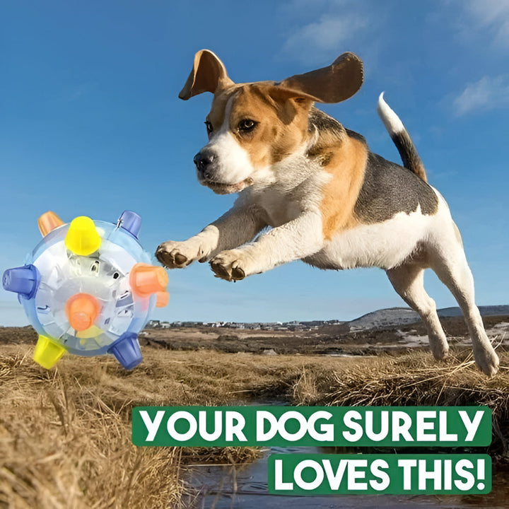 Dog Toy LED Bouncing Interactive Plastic Rubber Jumping Ball