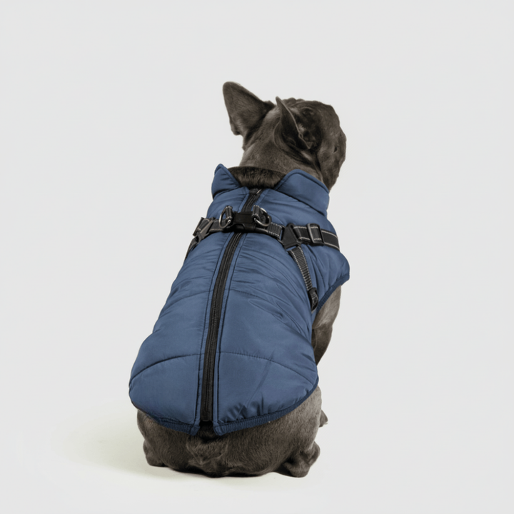Dog Jacket Winter Outdoor Pet Coat