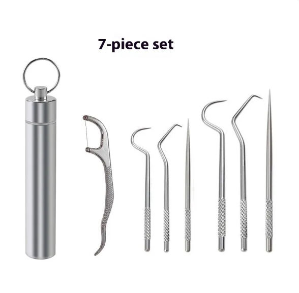 Reusable Toothpick &amp; Dental Pick Set with Travel Case