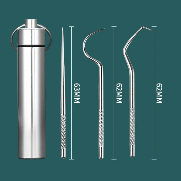 Reusable Toothpick &amp; Dental Pick Set with Travel Case
