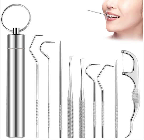 Reusable Toothpick &amp; Dental Pick Set with Travel Case