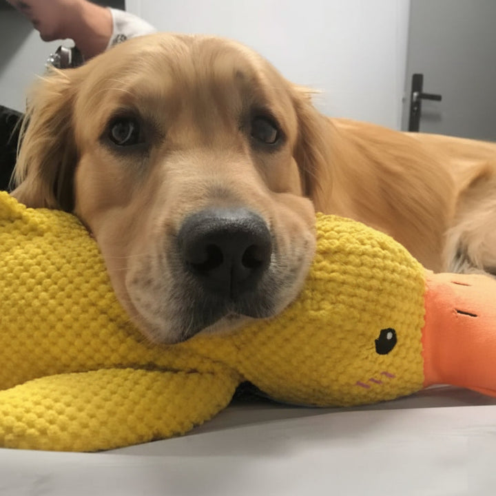 Calming Dog Toy Quacking Sound Chewing Play
